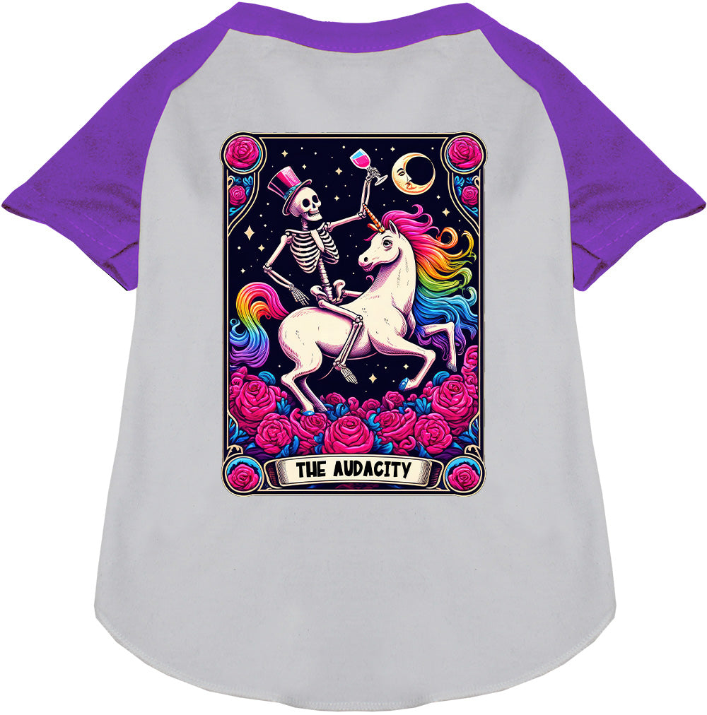 The Audacity! Pet Raglan Shirt