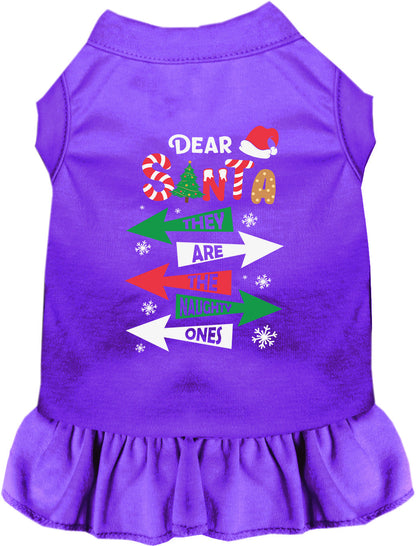 They're the Naughty Ones Pet Dress