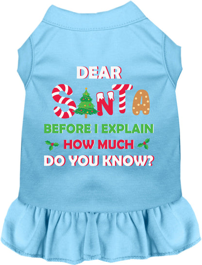 Santa, How Much? Pet Dress
