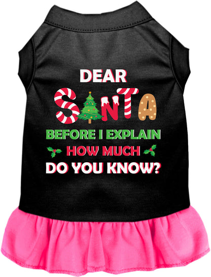 Santa, How Much? Pet Dress