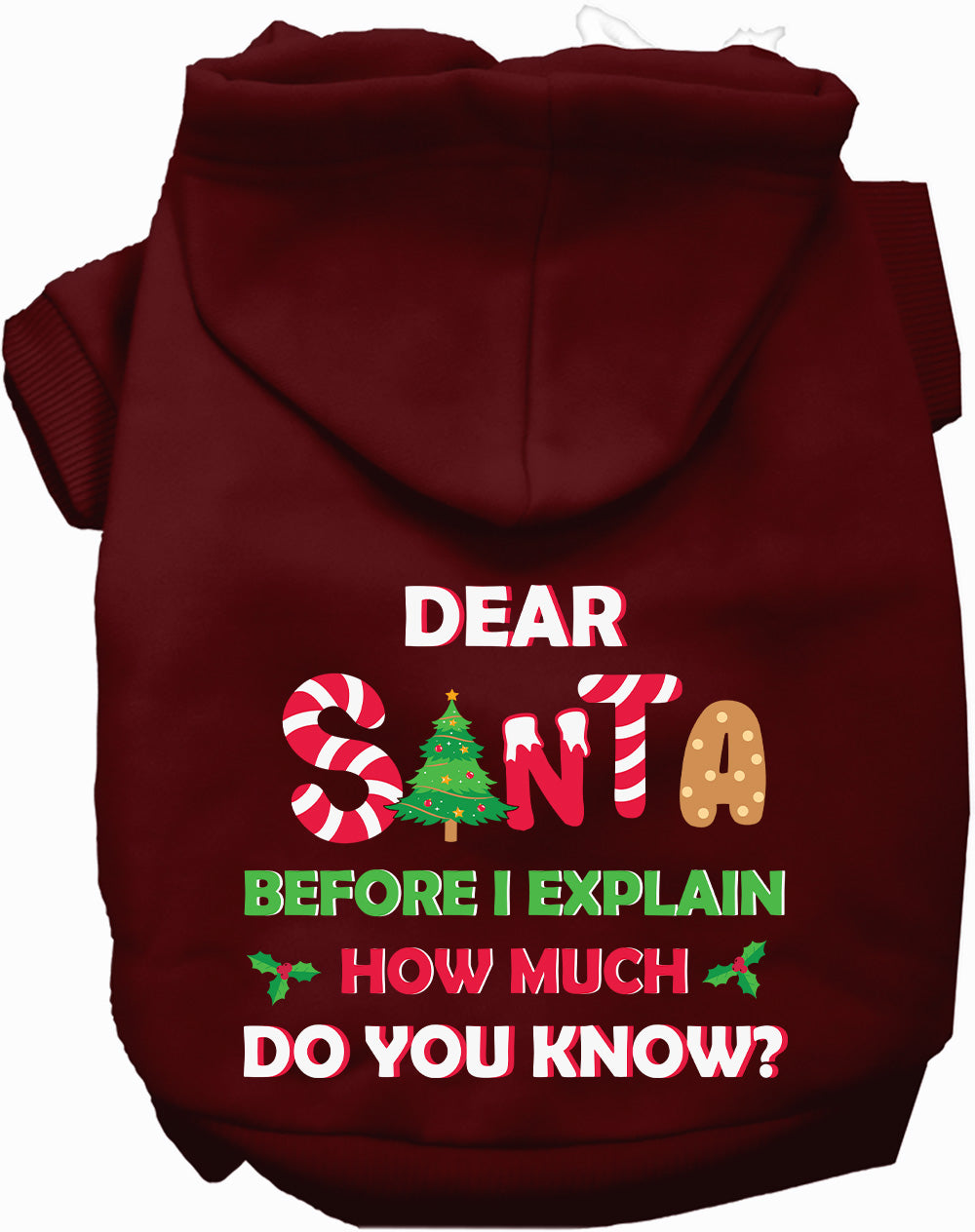 Santa, How Much Do You Know? Christmas Pet Hoodie