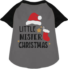 Little Mister Christmas Pet Raglan Shirt