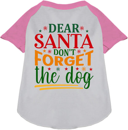 Don't Forget the Dog! Pet Raglan Shirt