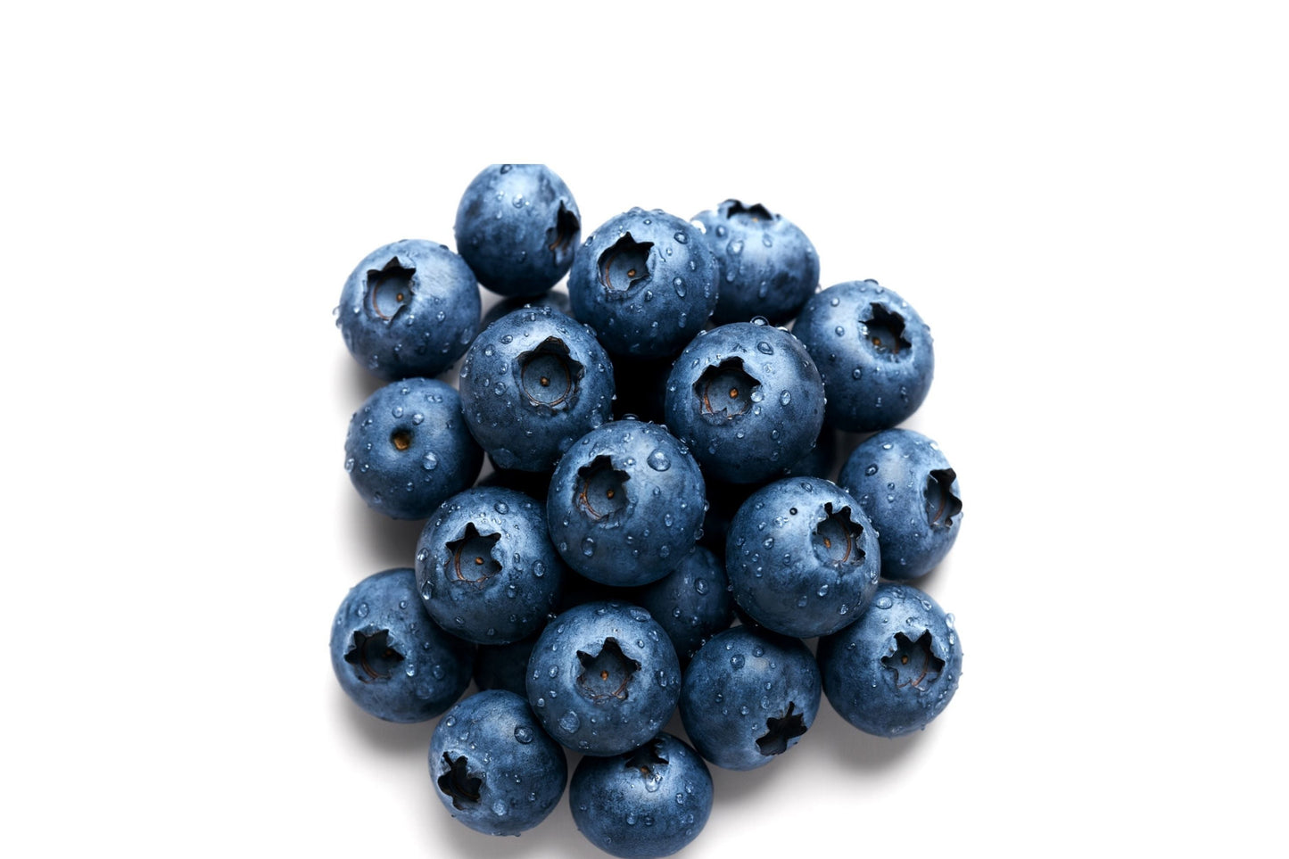 Azure Huckleberry Seeds - Non-GMO Vaccinium deliciosum Perennial Shrub for Berries & Wildlife, 125/300/500 Pack