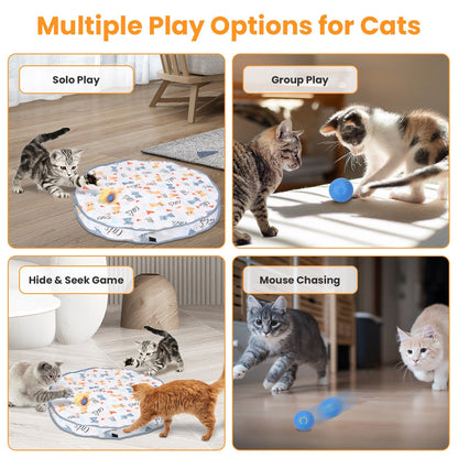 Cat Toys Ball Fast Rolling in Pouch Rechargeable Motion Activated Interactive Cat Toys for Indoor Cats Hide And Seek Mouse Catching Game