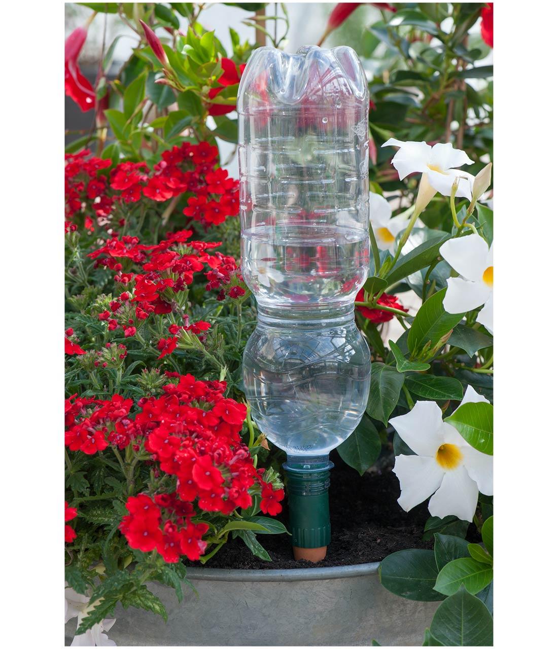 Blumat Easy + Bottle Adapter