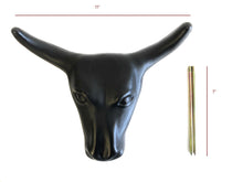AJ Tack Junior 11" Horn Spread Steer Head Roping Dummy Set with Rope