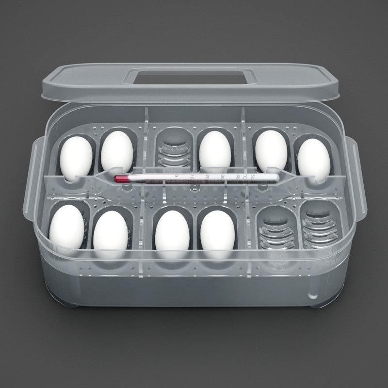 Gecko Egg Incubator: The Perfect Home For Reptile Eggs