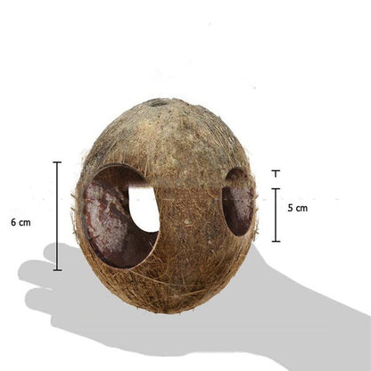 Rustic Retreat Coconut Shell Bird Nest Feeder