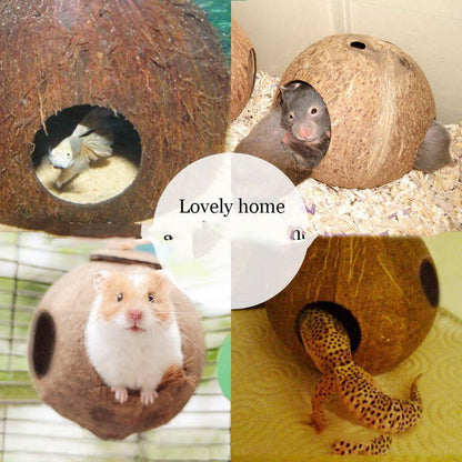 Rustic Retreat Coconut Shell Bird Nest Feeder