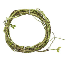 Tropical Rainforest Reptile Habitat Kit