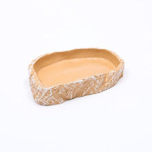 Sea View Resin Reptile Food Basin 1