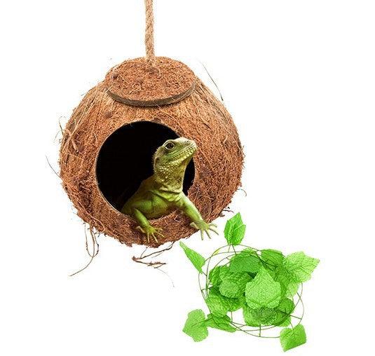 Reptile Adventure Set: Coconut Nest And Vine Climbing Kit