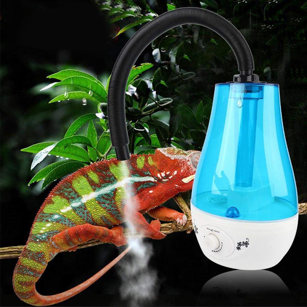 Simple Reptile Oasis: The Ultimate Household Humidifier For Your Pet