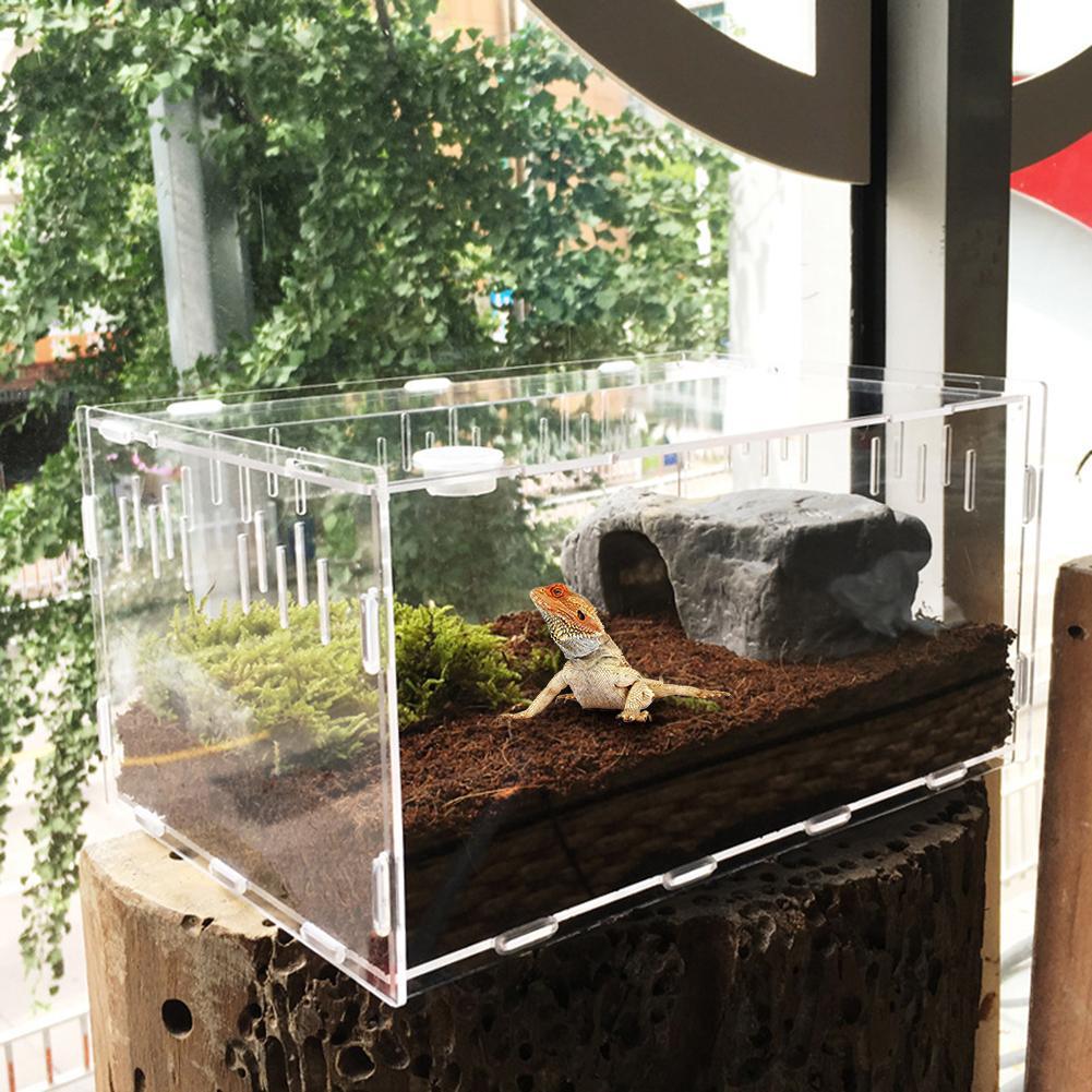 Reptile Haven: Crystal Clear Breeding Box For Your Beloved Pets
