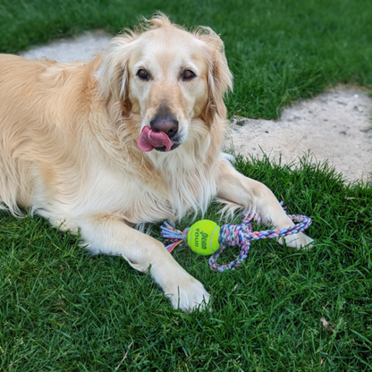 Loop/Barrel Tug Toys with Recycled Tennis Ball Dog