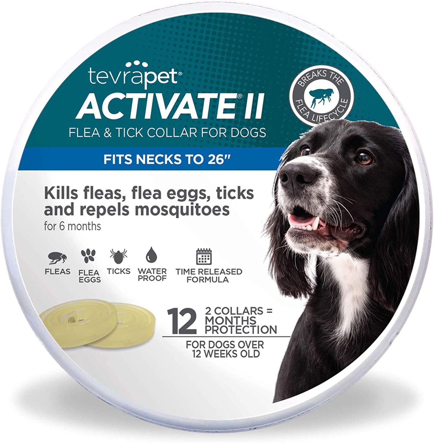Vetality Protect Flea & Tick Collar Dogs 12 month 2pk