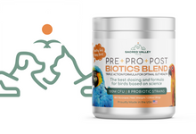 Organic Pre Pro Post Biotics Blend For Parrots 1 06Oz