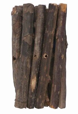 Kaytee Big Branch Bites 10-pack