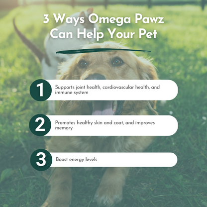 Omega Pawz Liquid Omega 3 Oil For Dogs And Cats