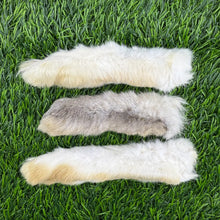 Freeze-Dried Rabbit Foot - 1 Count