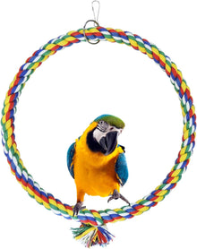 Bird Swing