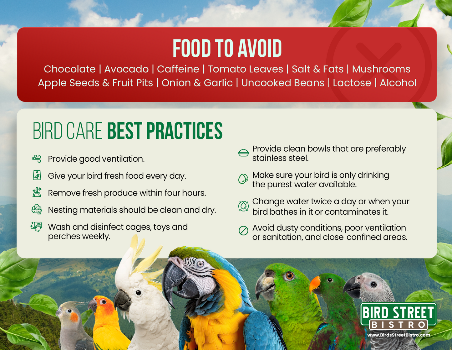 Parrot Care Fridge Magnet