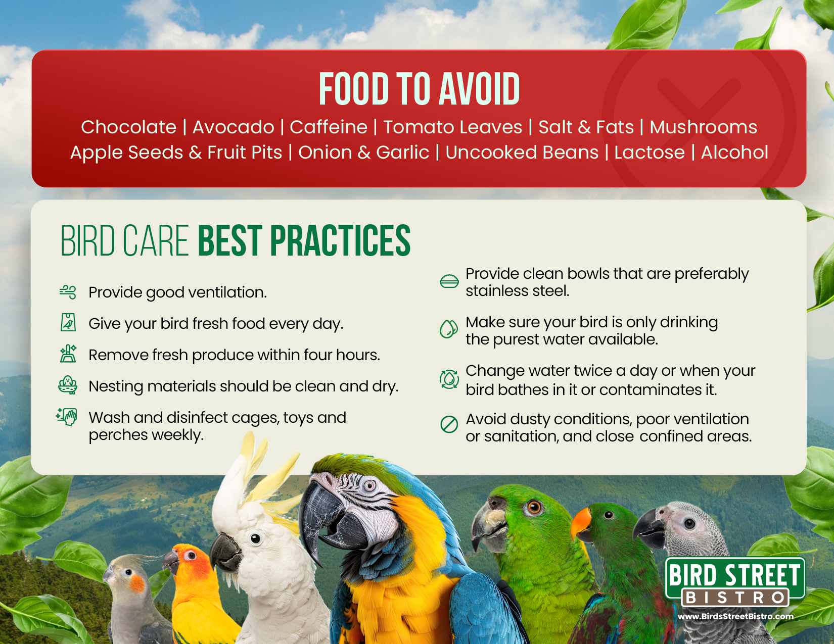 Parrot Care Fridge Magnet