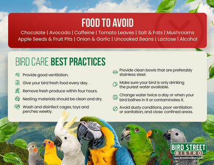 Parrot Care Fridge Magnet