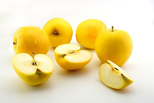 Super Rare Opal Apple Cuttings – 3 Fresh Scions for Rooting and Grafting, Malus domestica ‘Opal’ Yellow Sweet Crisp Fruit