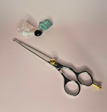Japanese Stainless Steel Scissor 8.5 Inch Probe Tip with Finger Rest Semi-Convex Edge Stainless Steel Safety Tip Blade Gold Screw
