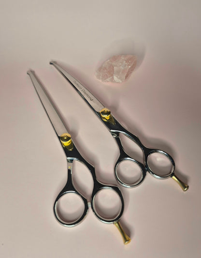 Japanese Stainless Steel Scissor 8.5 Inch Probe Tip with Finger Rest Semi-Convex Edge Stainless Steel Safety Tip Blade Gold Screw