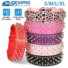 GBruno Dog Leather Collar Spiked