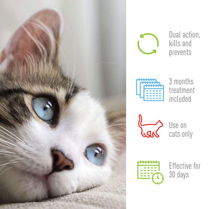 Adams Plus Flea  Tick Spot On for Cats 1ea/Over 5 lb