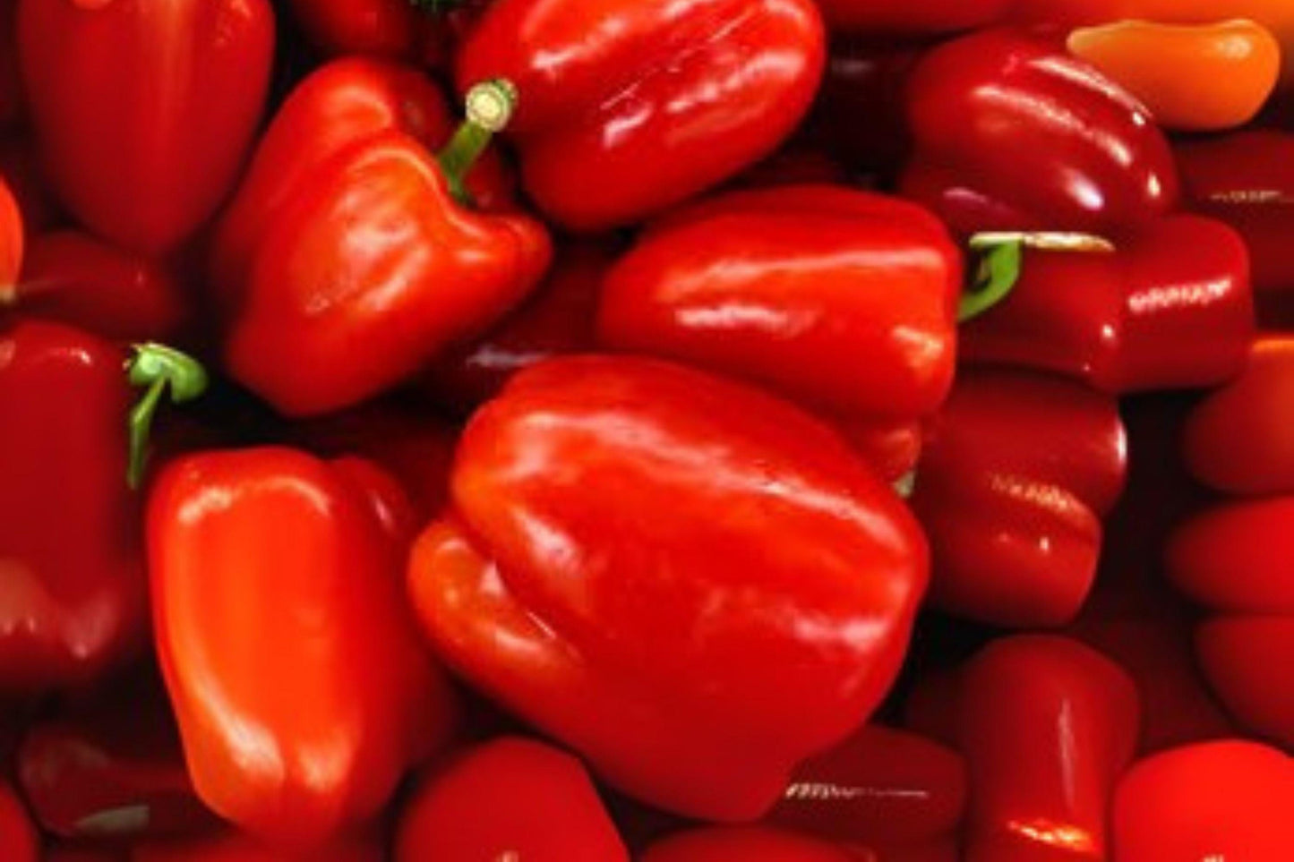California Wonder Sweet Bell Pepper Seeds - Heirloom Variety, 30 Seeds, Capsicum annuum, Large Blocky Peppers for Gardening
