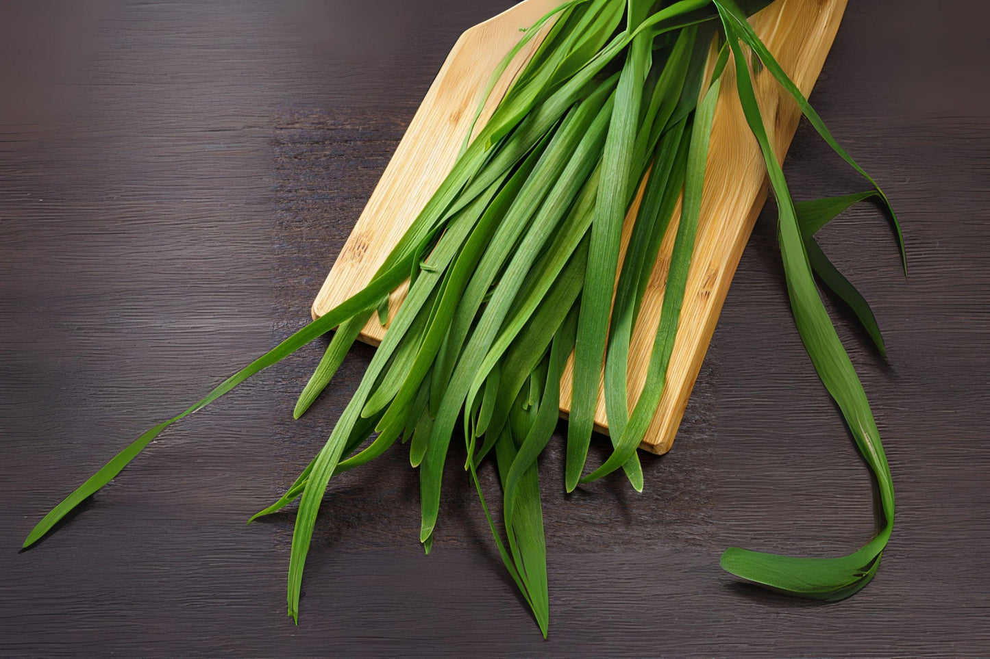 Garlic Chives Seeds - Heirloom Culinary Herb - Easy to Grow in Garden, Pots, or Raised Beds - 100 Seeds of Allium tuberosum