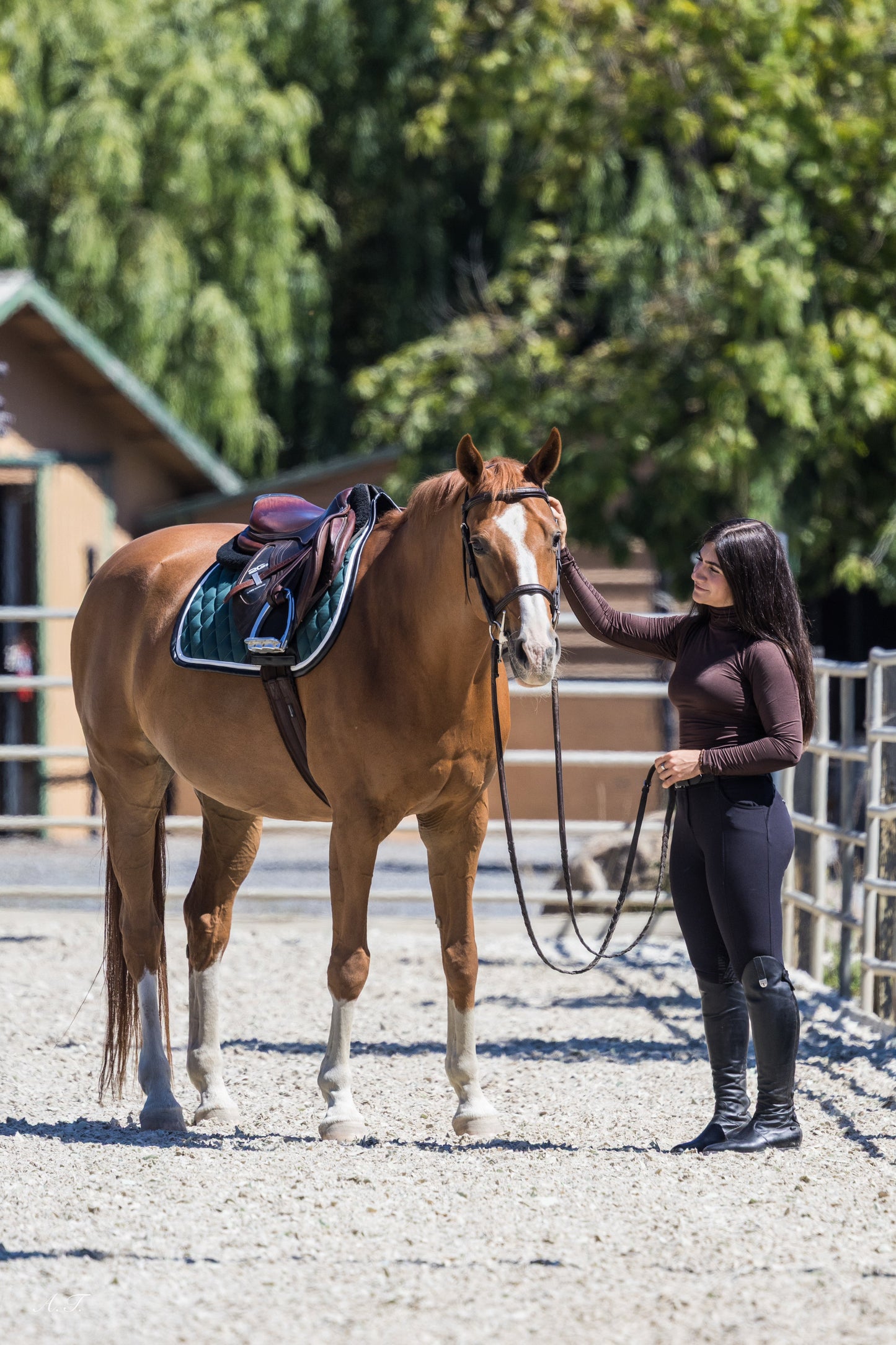 Jump Saddle Pad | Green- Black & White