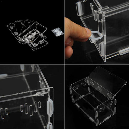 Reptile Haven: Crystal Clear Breeding Box For Your Beloved Pets