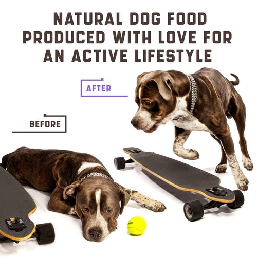 Glucosamine for Dogs   Functional Dog Joint Supplement with