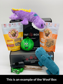 Toys N Treats Boxes