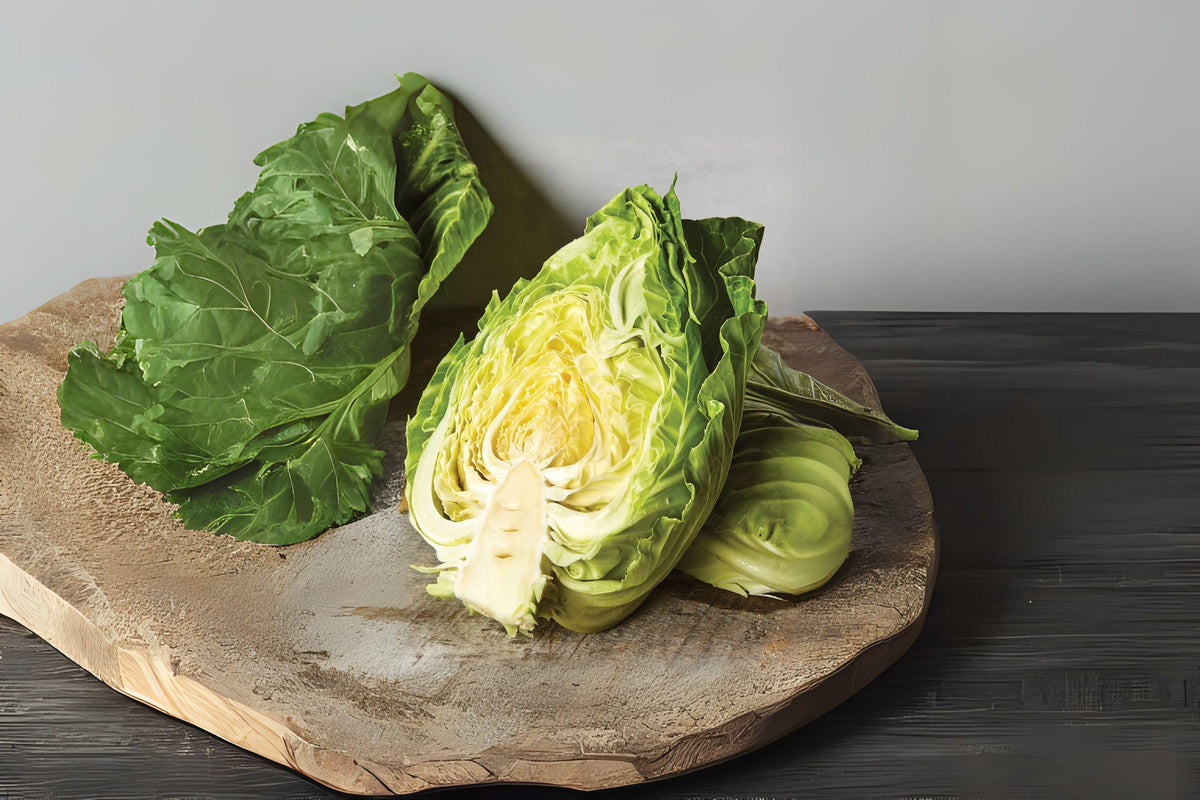 Early Jersey Wakefield Cabbage Seeds, Heirloom, Sweet Tender, Brassica oleracea var. capitata, Conical Green Heads, Fast-Growing