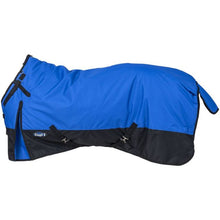 Blue Pony Turnout Blanket