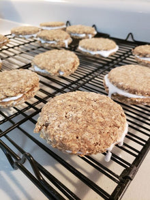 🐾 Oatmeal Organic Cream Pie Dog Treats – Gluten Free