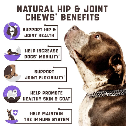 Glucosamine for Dogs   Functional Dog Joint Supplement with