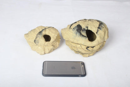 Rock Hideaway The Ultimate Reptile Sanctuary