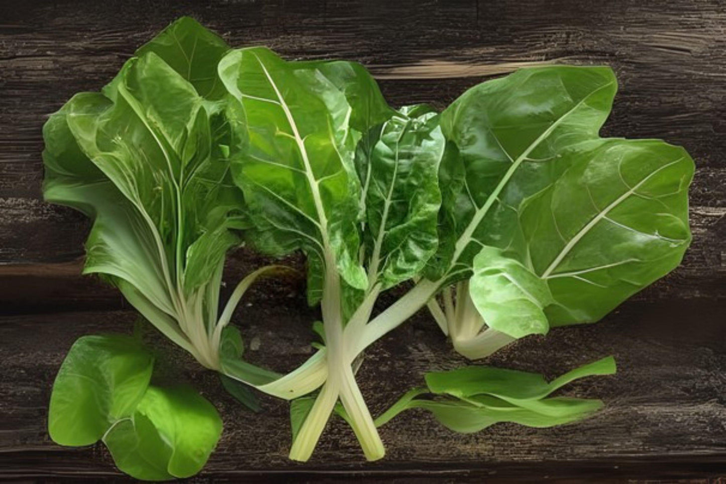 Swiss Chard Fordhook Seeds – Heirloom Beta vulgaris subsp. cicla, Green Leaves & White Stalks, Nutritious Vegetable Seeds