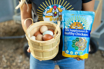 Herb Supplement For Backyard Chickens