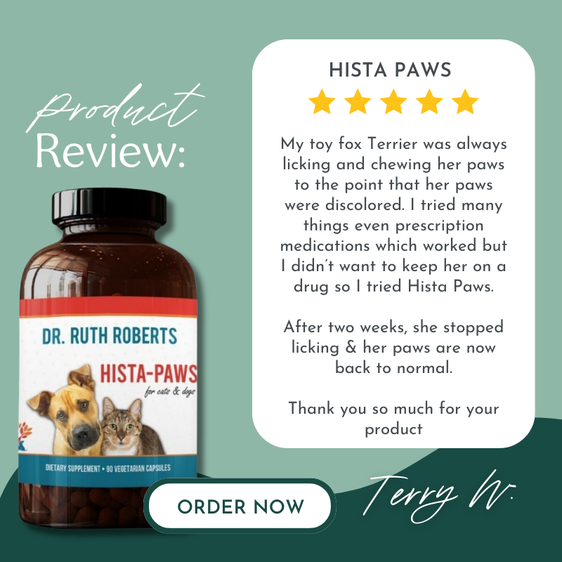 Hista Paws With Quercetin For Dogs And Cats