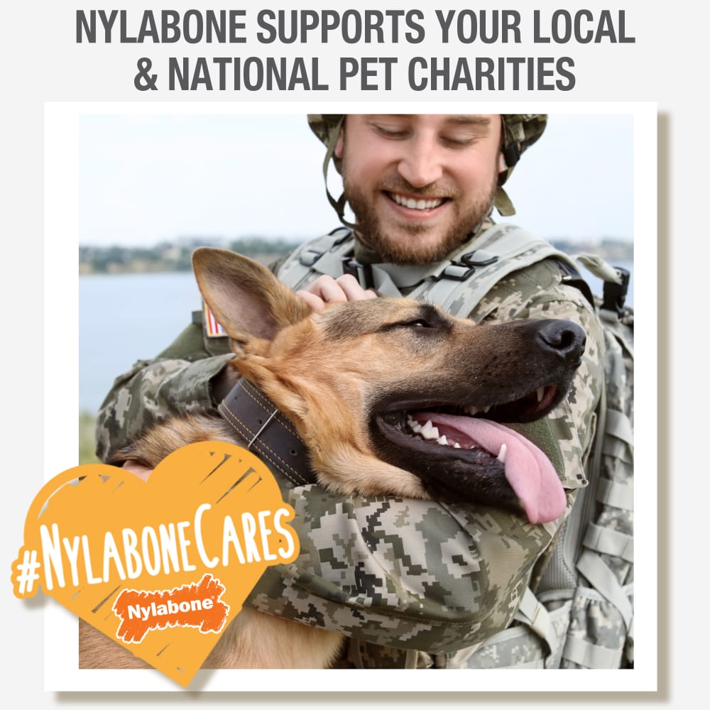 Nylabone Healthy Edibles All-Natural Long Lasting Bacon Chew Treats (6.7oz)