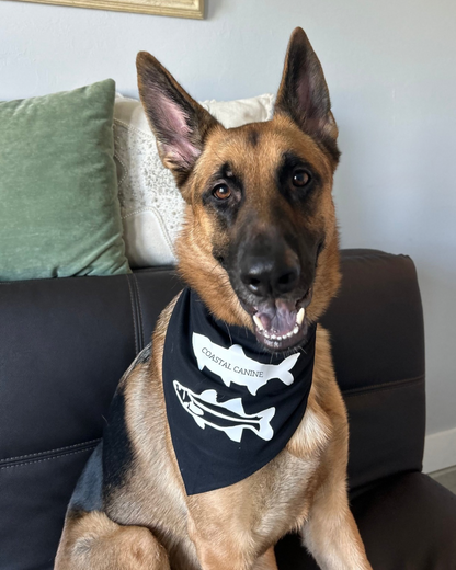 Snook & Tarpon Dog Bandanna